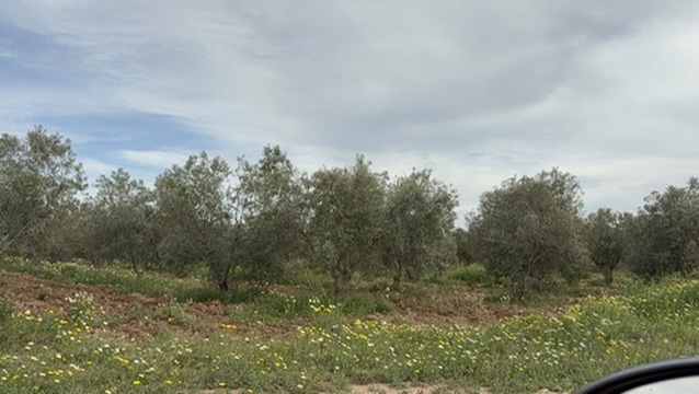 grove image 3